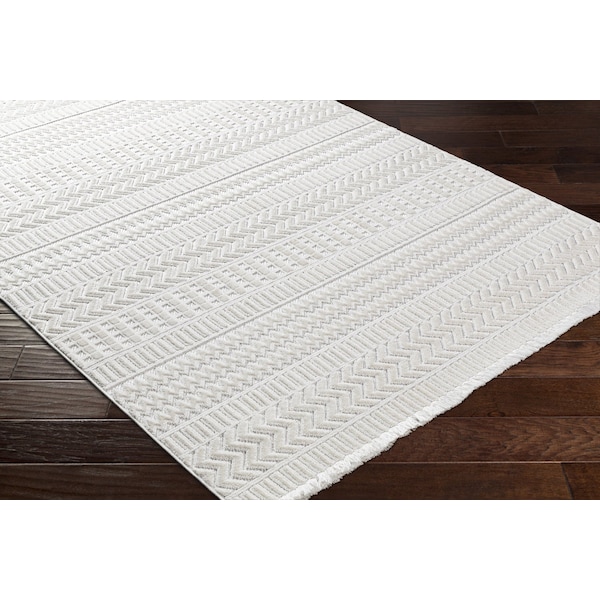Broadway BWY-2303 Area Rug , With Fringe